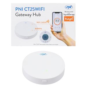 Hub Internet PNI CT25WIFI